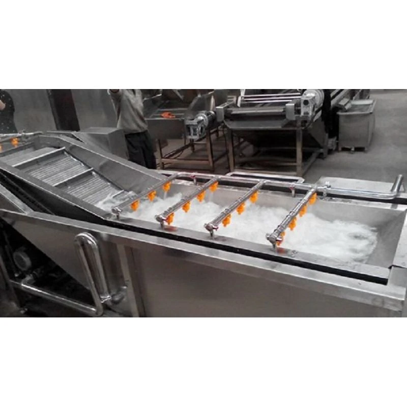 Digital High Capacity Fruit and Vegetable Washer