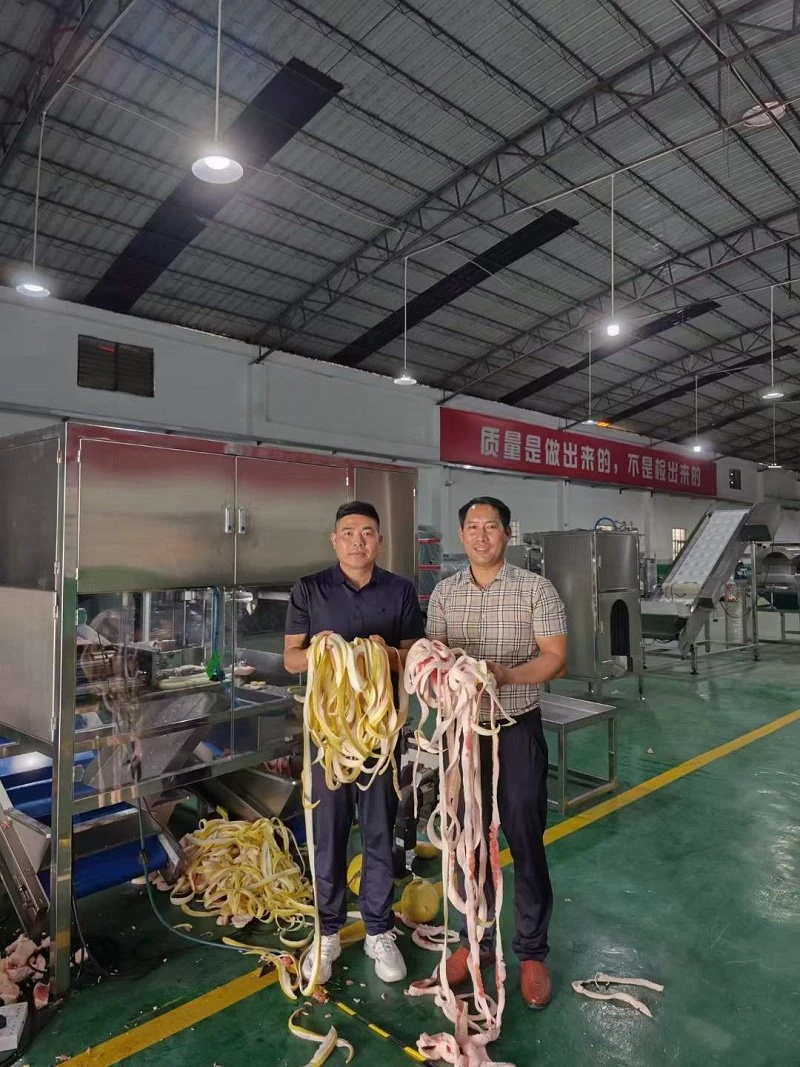 High Efficiency Fruit Peeler