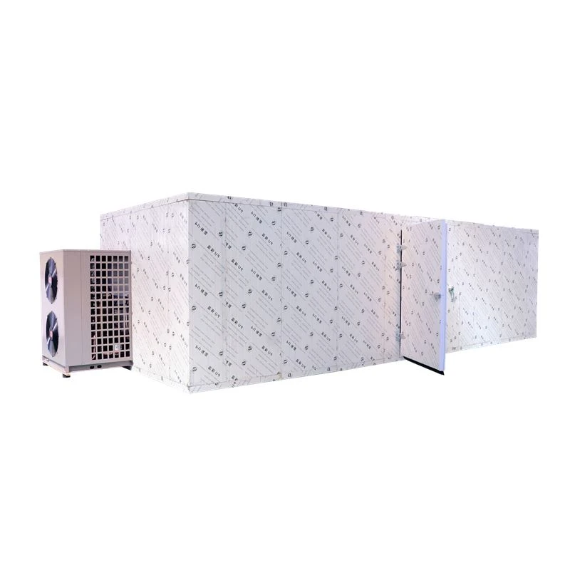 Kale Dryer Machine