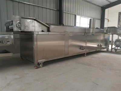 Automatic Blanching Machine: A Color Protection Artifact For Fruit And Vegeta...