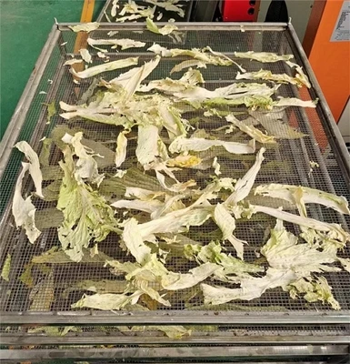 Cabbage Drying Equipment Customer Feedback