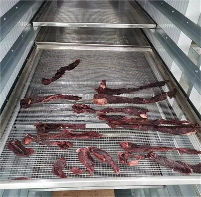 Customer Inspection Of Shanghai Shanqiao Beef Drying Equipment