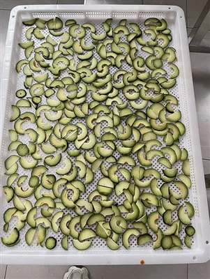 Drying Equipment For Drying Avocados