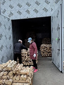 Large Drying Equipment For Drying Wood