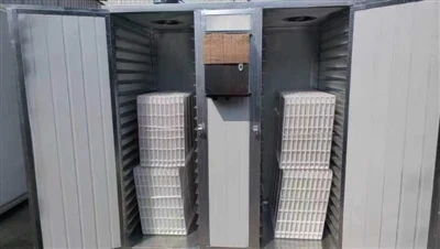 Small Dryer Equipment Display